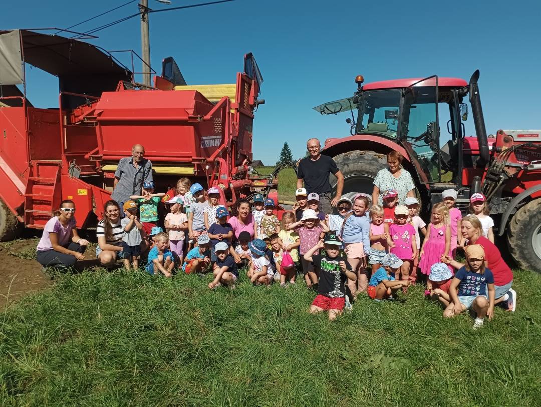 Jak se sklízí brambory